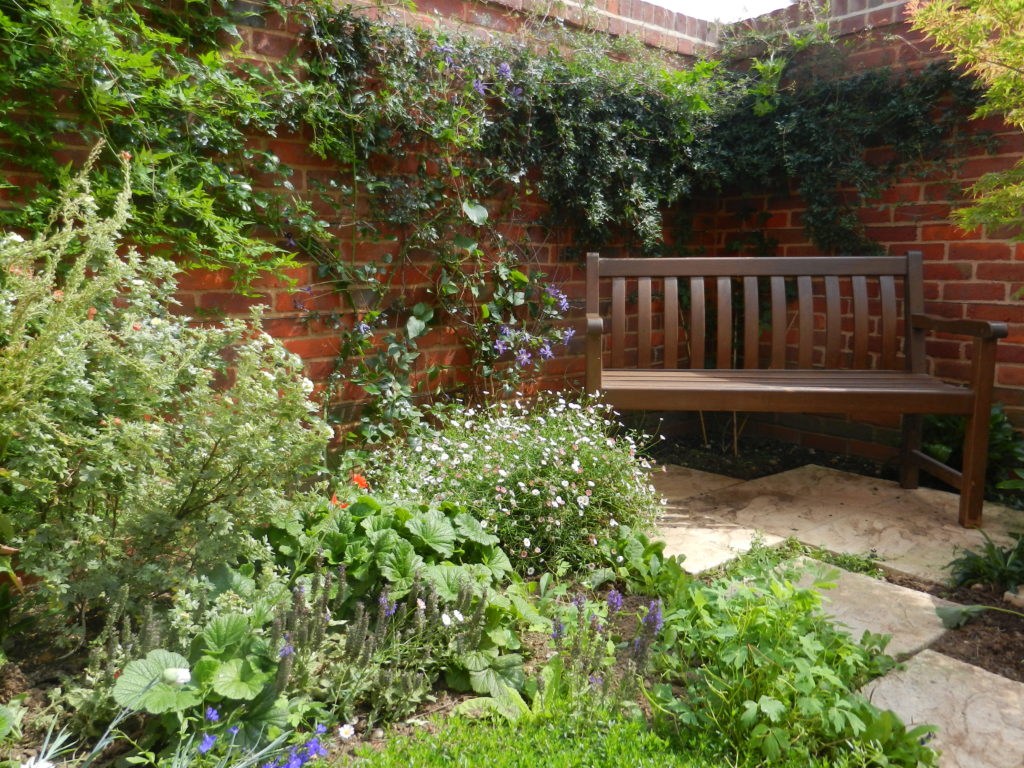 Garden and Bench