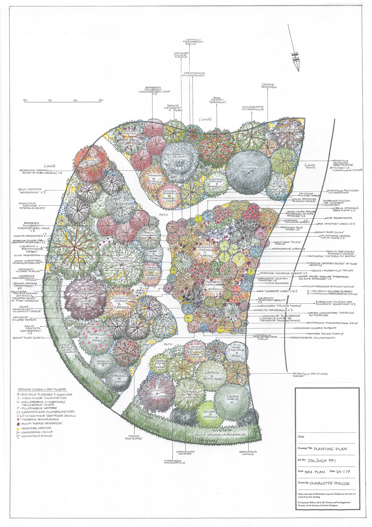 Planting plan for an existing area of beds and paths within a large garden. A redesign was requested for the shrub borders, retaining some plants, with a completely new area of perennials to be designed for the bed to the centre right. Plants were chosen for all year round interest, continuity, and suitability to microclimates and aspect. The colour scheme is primarily red, orange, burgundy, with blue, white and primrose highlights.