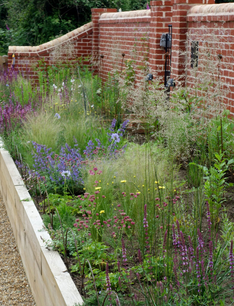 Detail of border in gravel garden, shortly after planting