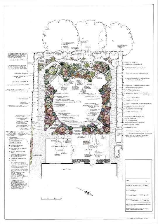 Planting Plan for Garden Design