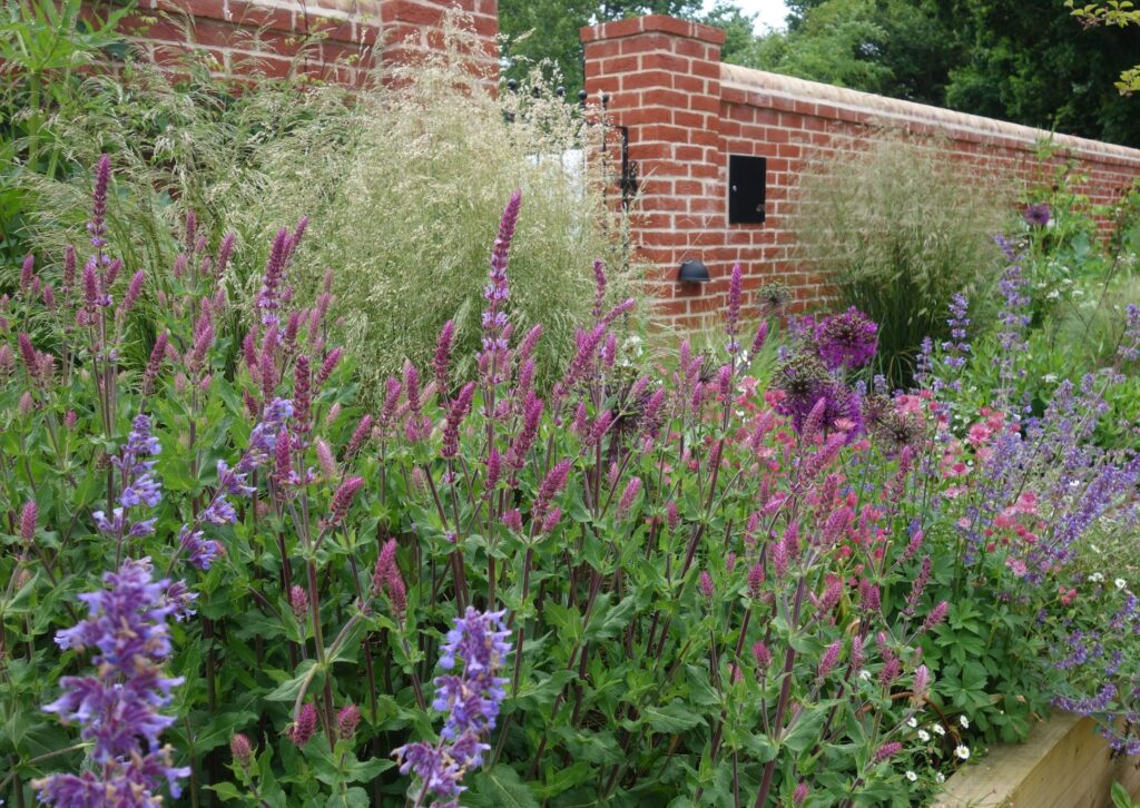 Border shown during the first summer after planting.